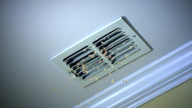 Best Residential Air Duct Cleaning  in Lambert, MS