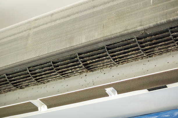 Best Commercial Air Duct Cleaning  in Lambert, MS